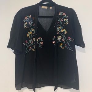 Sheer Little Moon (Aritzia) Blouse